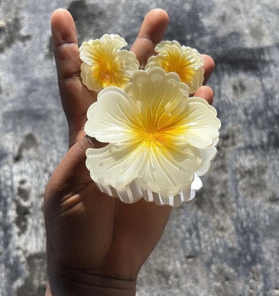 Pinces à cheveux fleurs colorées