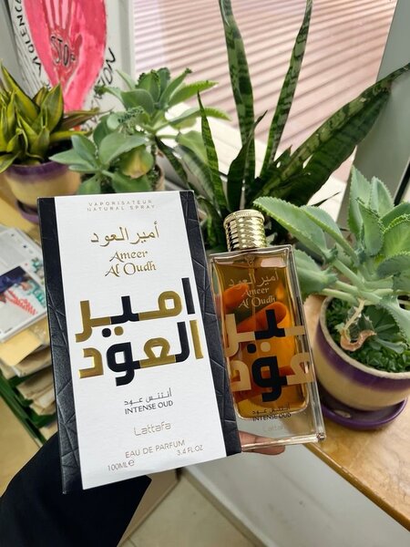 Parfum Ameer Al Oudh Intense