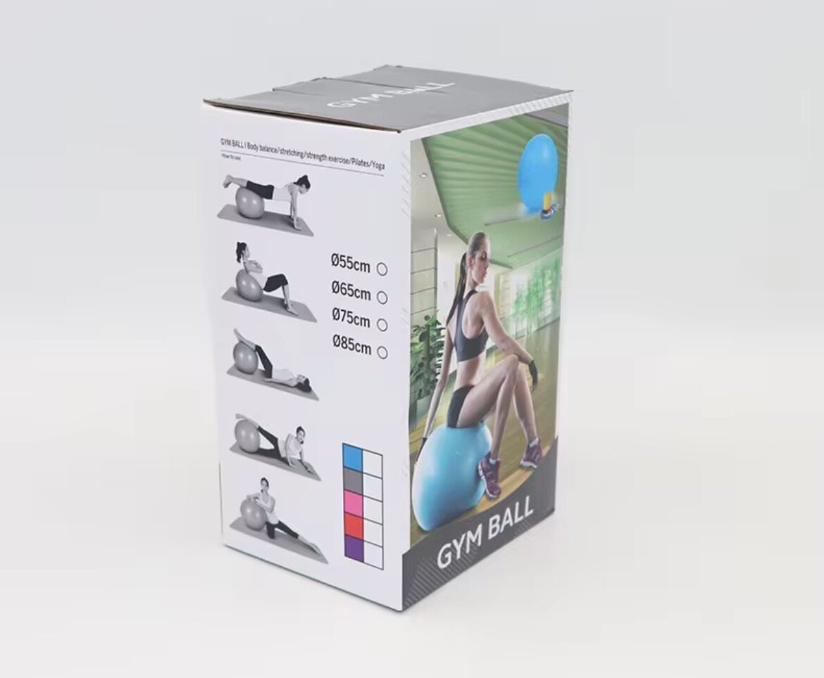 Balle de Gym Fitness Rose