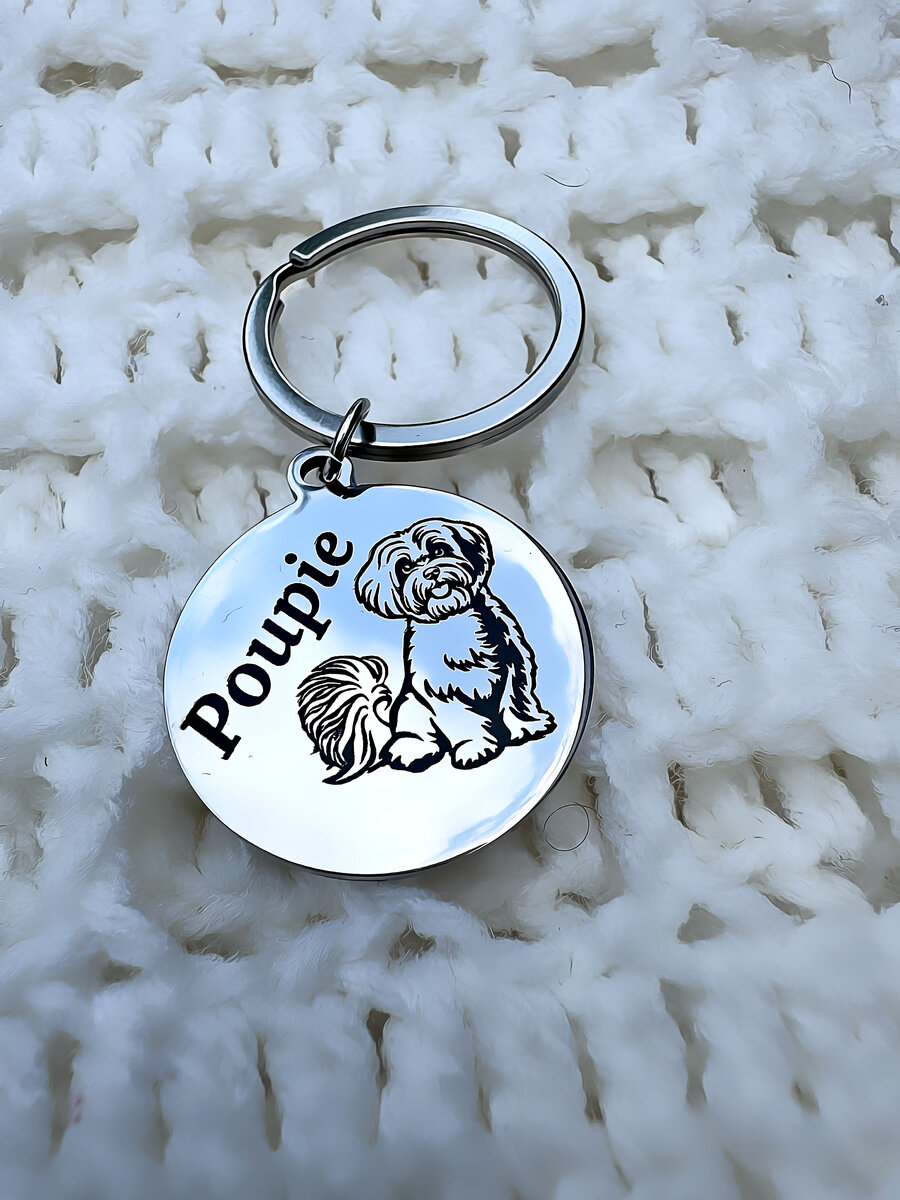 Médaille identification Chien