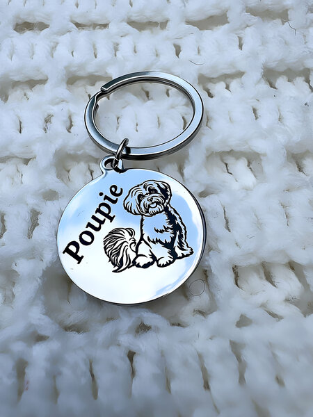 Médaille identification Chien