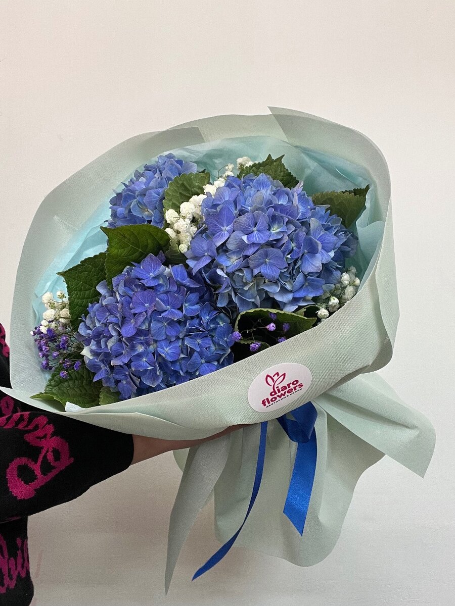 Моно букет из Гортензии