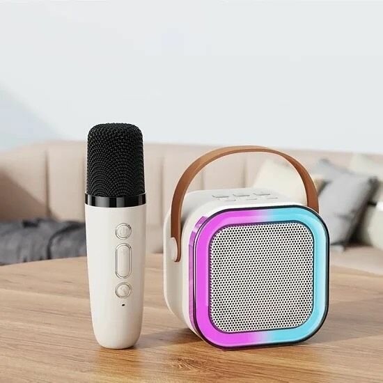 Portable Speaker with free Mic