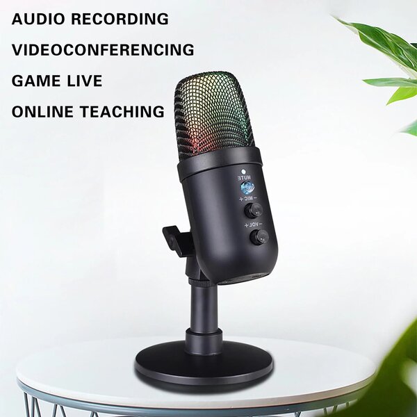 Microphone USB Rayhayes