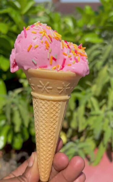 Vermicelles Arc-en-Ciel