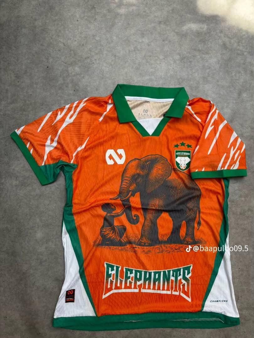 Maillot Éléphants