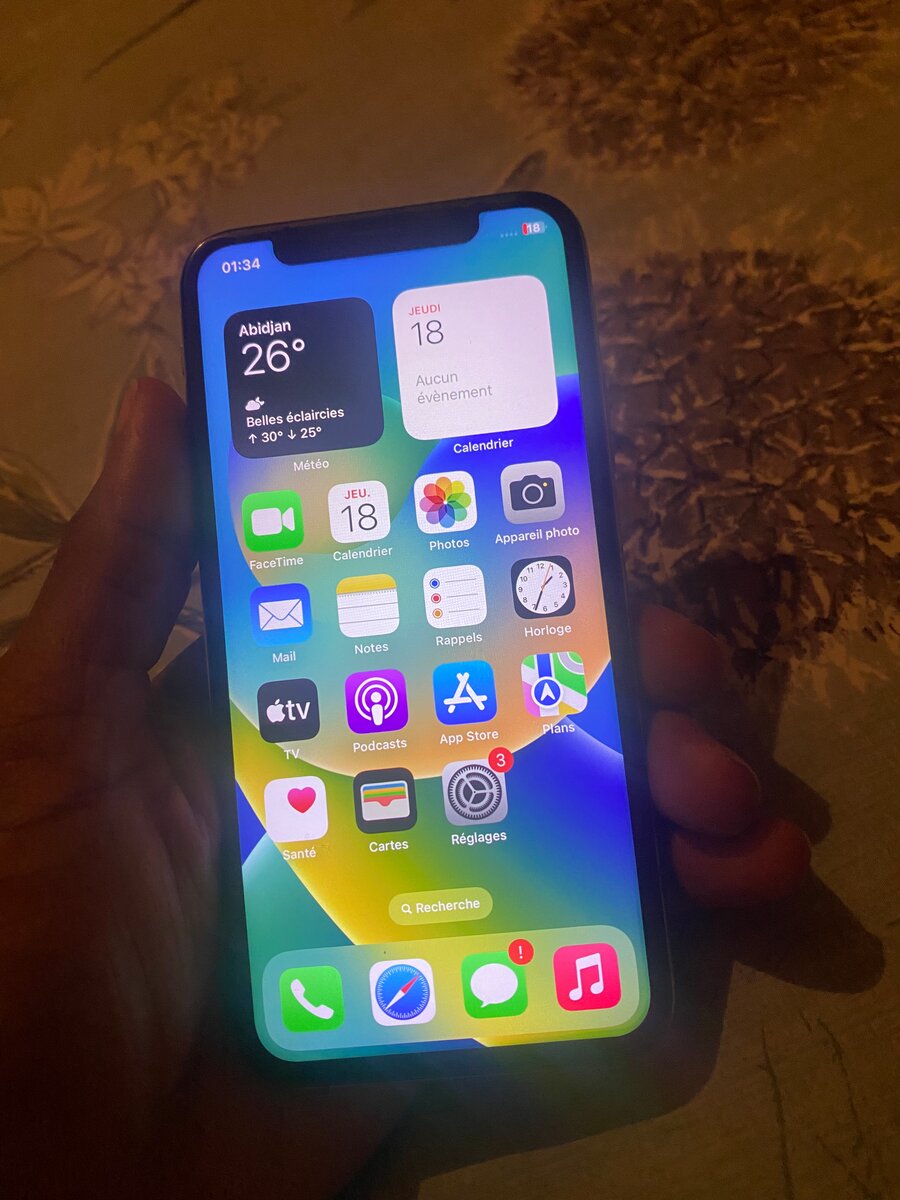 iPhone Blanc 64Go Débloqué