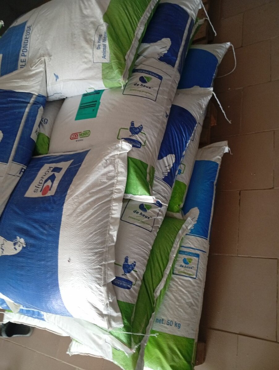 Ponte2 Aliment Pondeuses 50kg