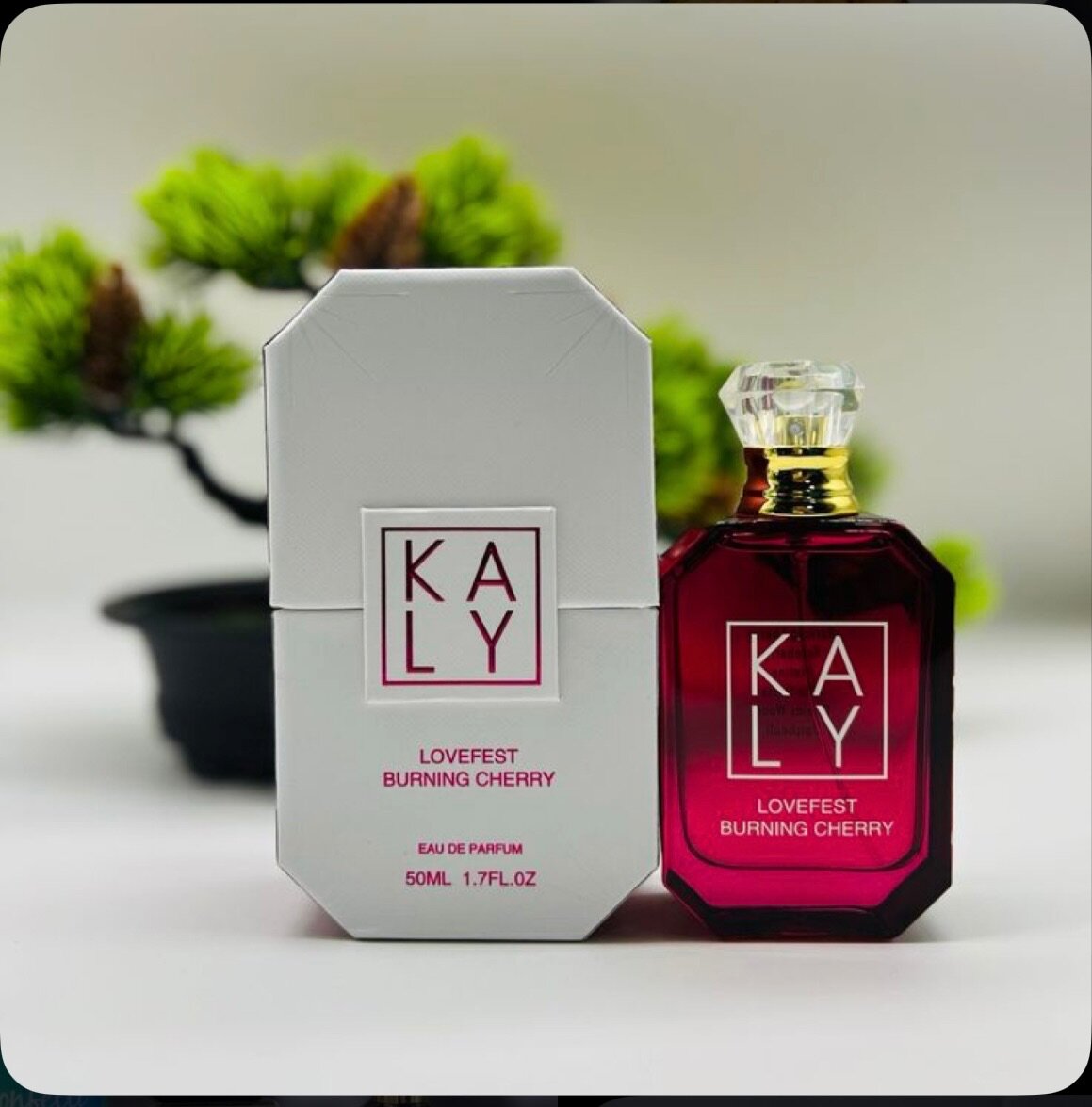 Parfum Kaly Lovefest 50ml