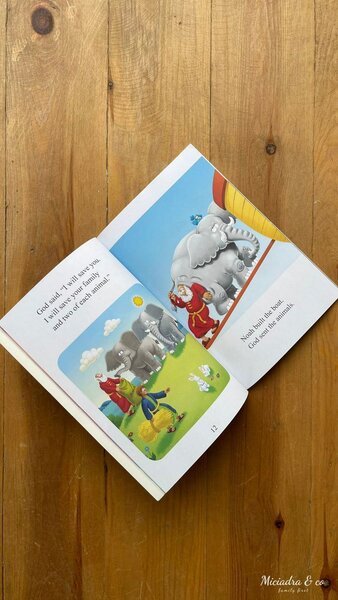 Noah and the Great Big Ark