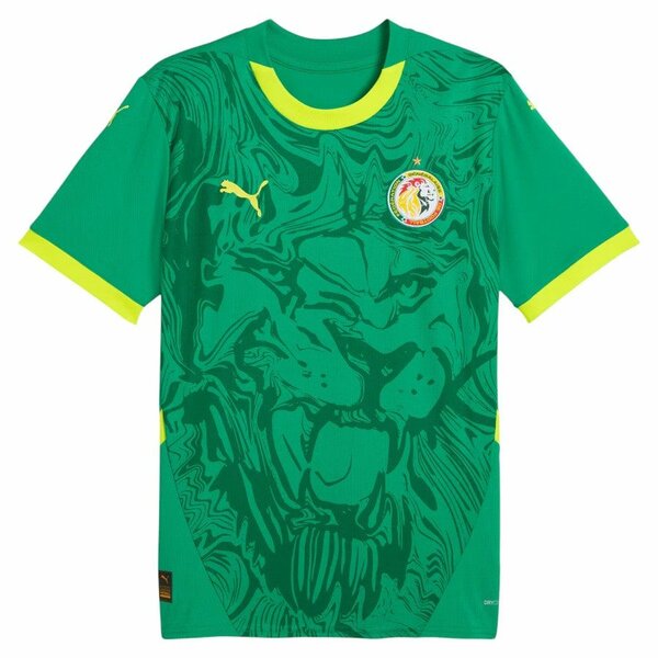 Maillot de football Sénégal