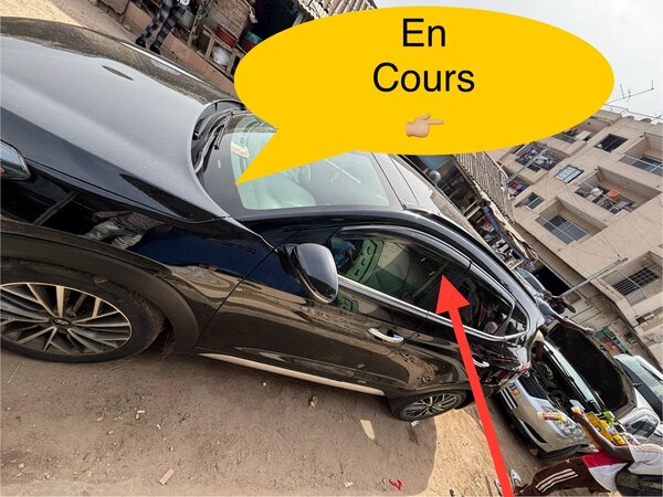 Déflecteur de portière