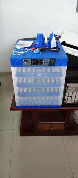 Incubateur numérique pour œufs