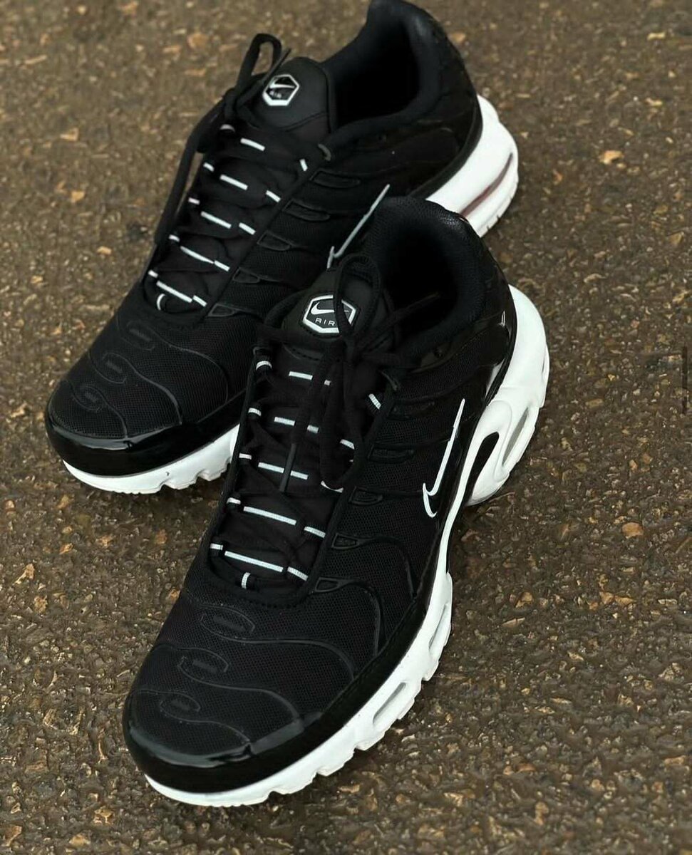 Nike Air Max Plus Noir
