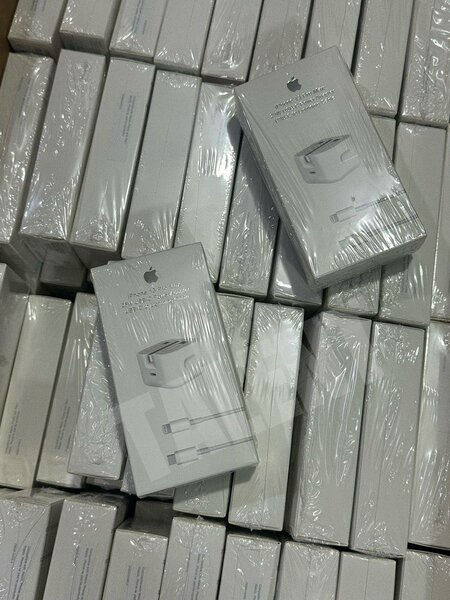 Original iPhone Charger