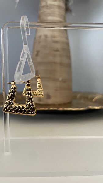 Stainless steel earrings