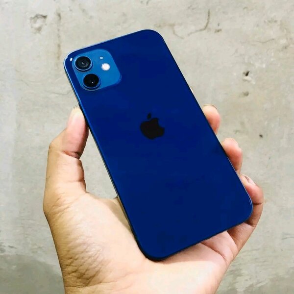 iPhone 12 Bleu