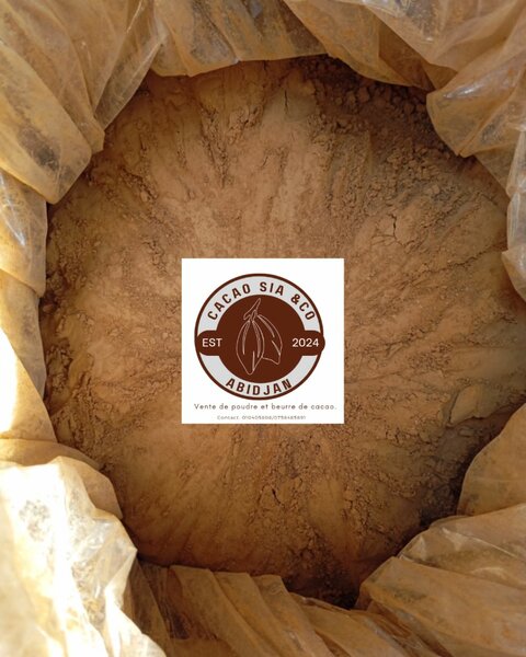 Poudre de Cacao Pur Abidjan