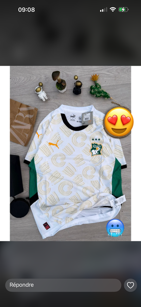 Maillot Côte d'Ivoire Puma