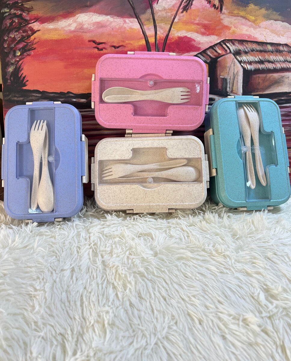 Boîte à déjeuner écologique