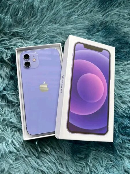 iPhone 12 violet neuf