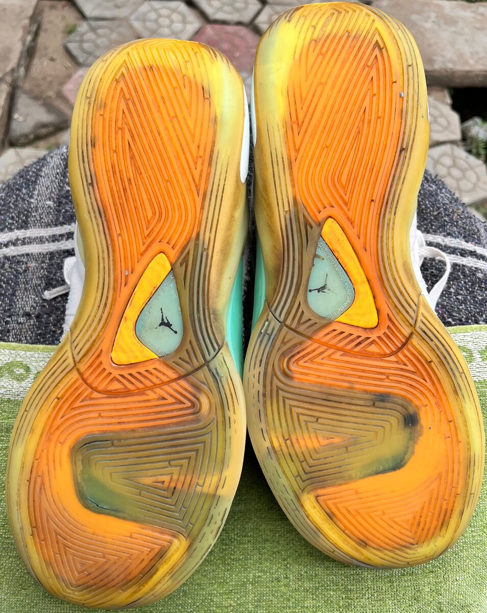 Jordan Luka 1 Next Nature Bois