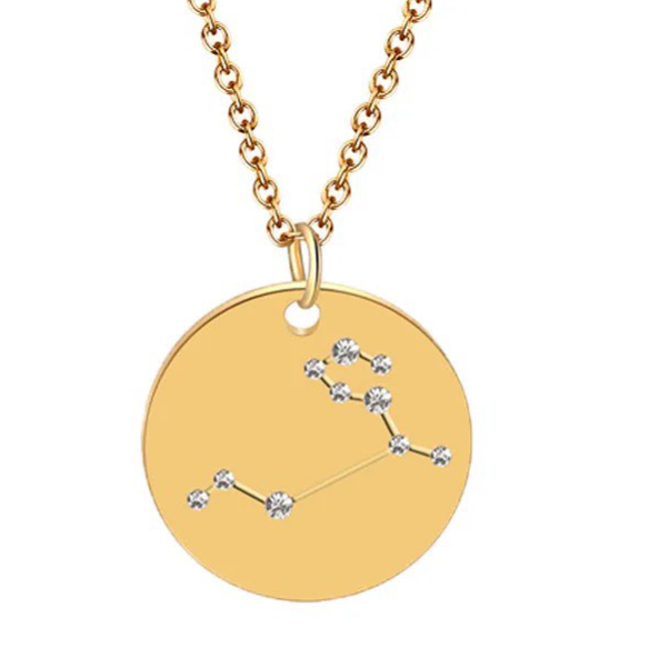 12 Zodiac Horoscope stainless steel necklace 