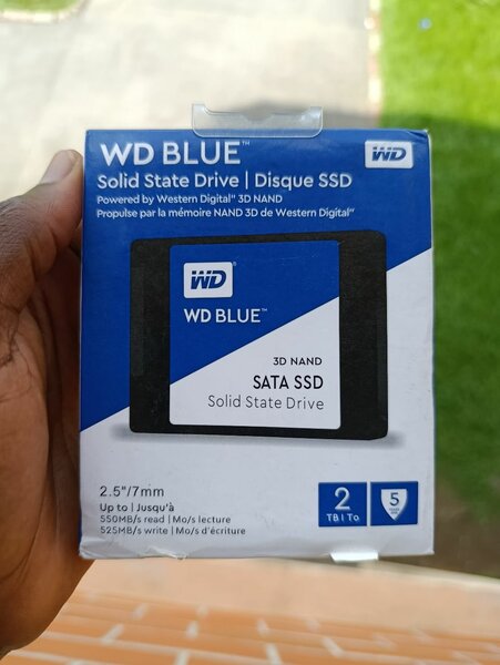 Disque SSD WD Blue 2To