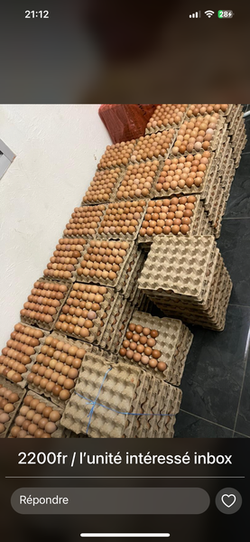 Œufs frais de poule