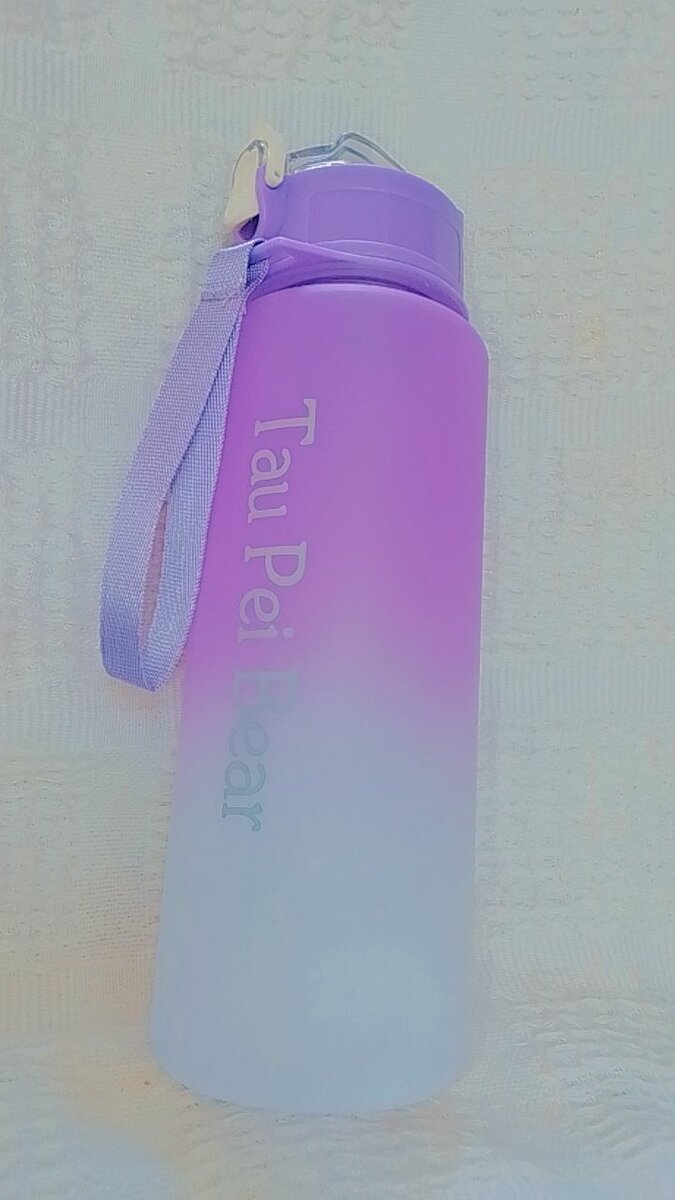 Bouteille Thermos Violet 500ml
