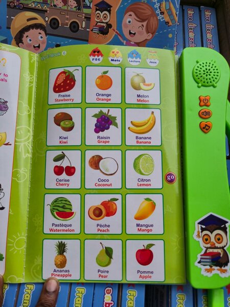 LIVRE ÉLECTRONIQUE BILINGUE