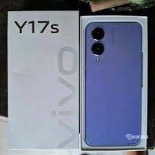 Vivo y 17 s