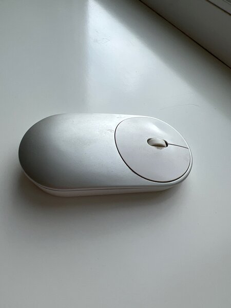 Computer mouse
