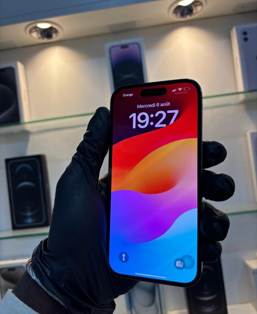 iPhone Pro Max 256 Go