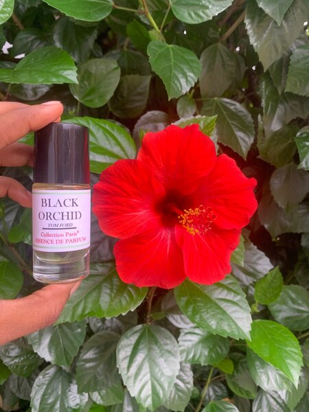 Essence de parfum non diluée