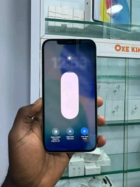 Smartphone iPhone 13 Pro Max