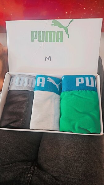 Boxers puma