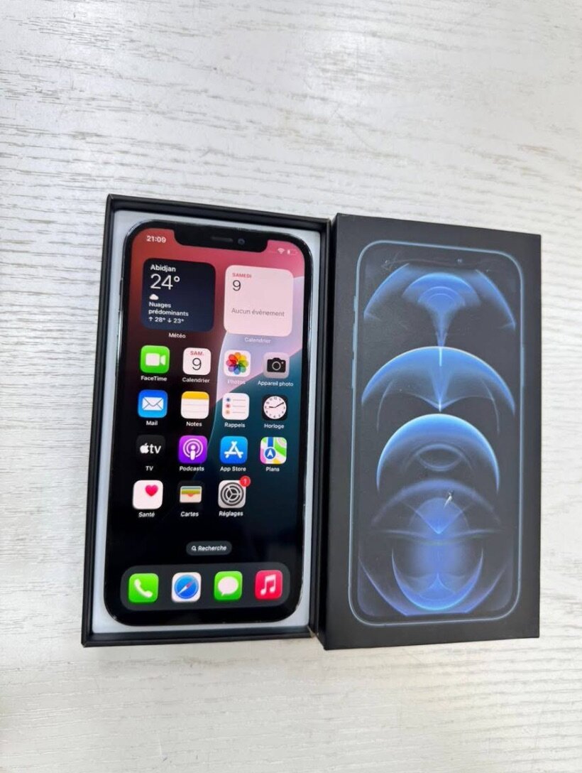 iPhone 12 Pro Max 256GB