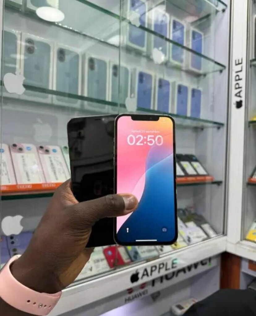 iPhone 13 Pro Max 256Go