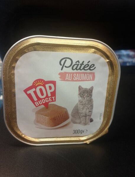 Pâtée pour chat au saumon