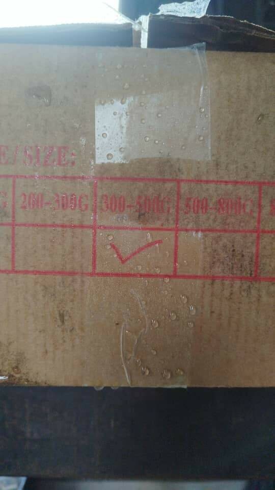 Tilapia frais 300/500g 10kg