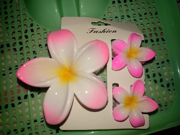 Pinces à cheveux fleurs tropicales
