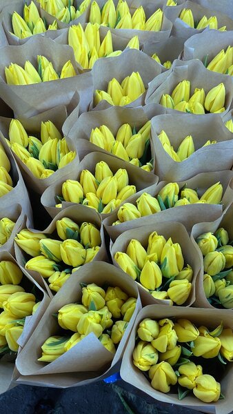 Цветы/Бишкек