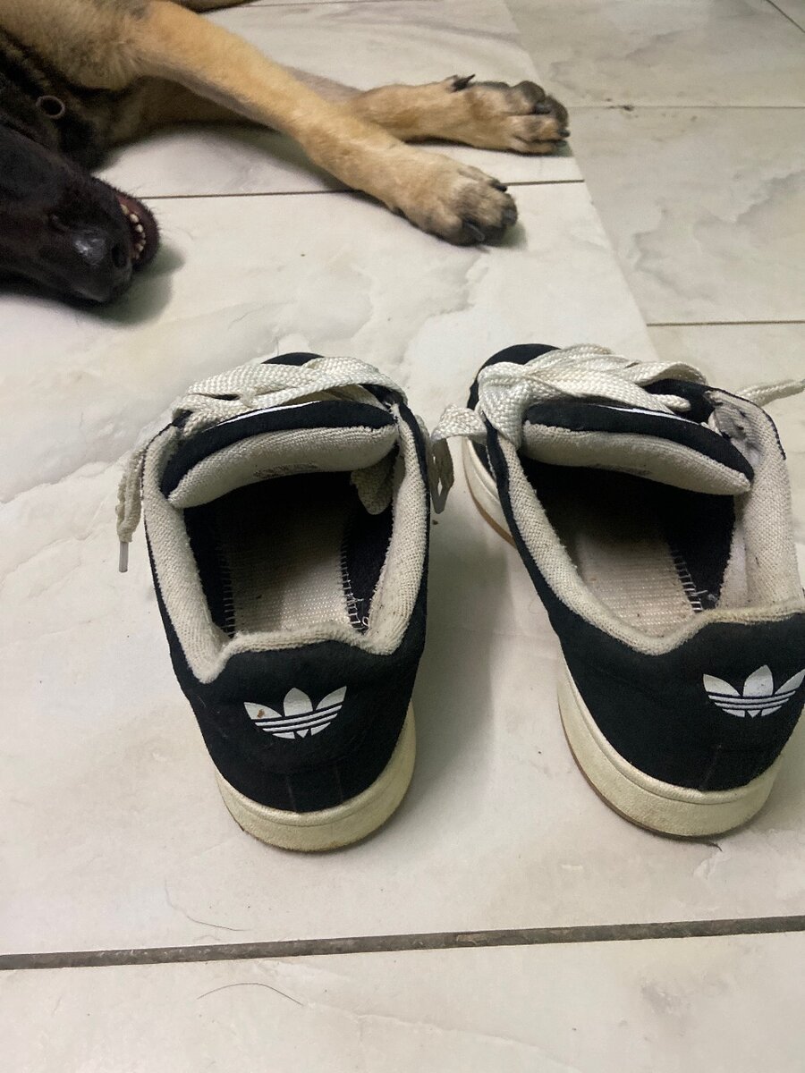 Baskets Noir Classiques