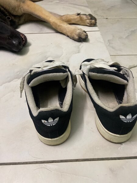 Baskets Noir Classiques