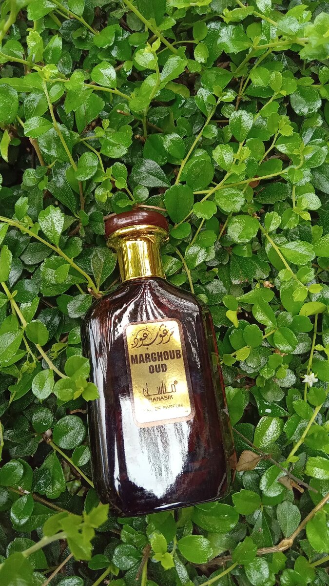 Parfums arabes homme et femmes