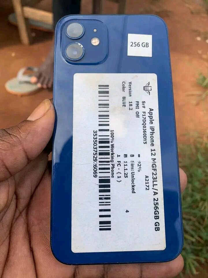 iPhone 12 256Go Bleu