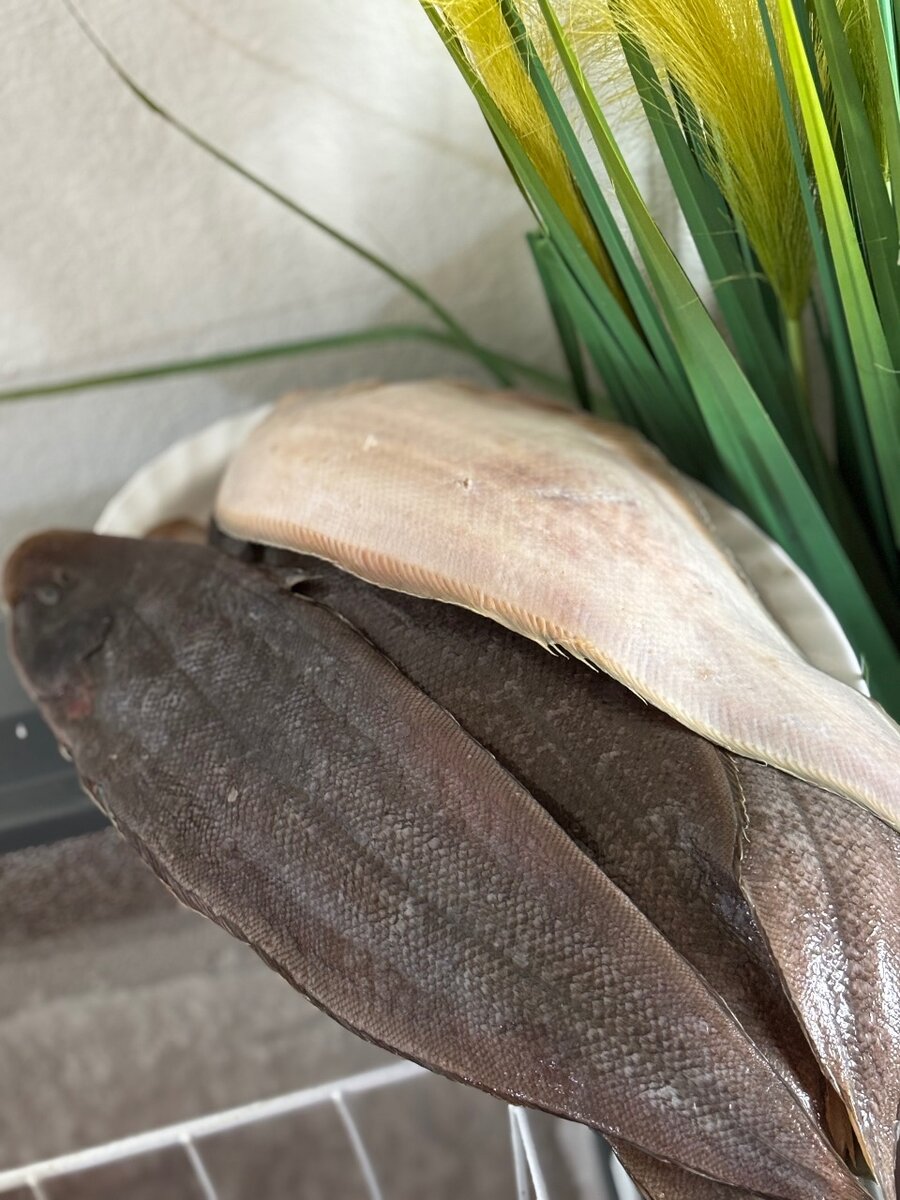 Poissons sols eau douce