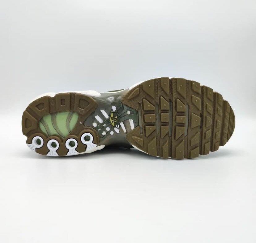 NOKE AIR MAX PLUS TN (dans carton)