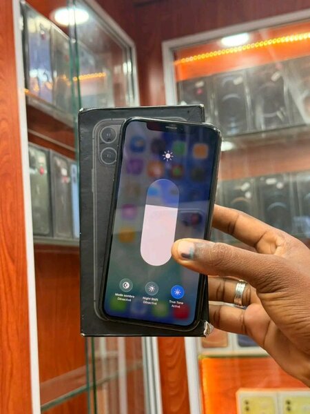 iPhone 12 Pro Max Gris